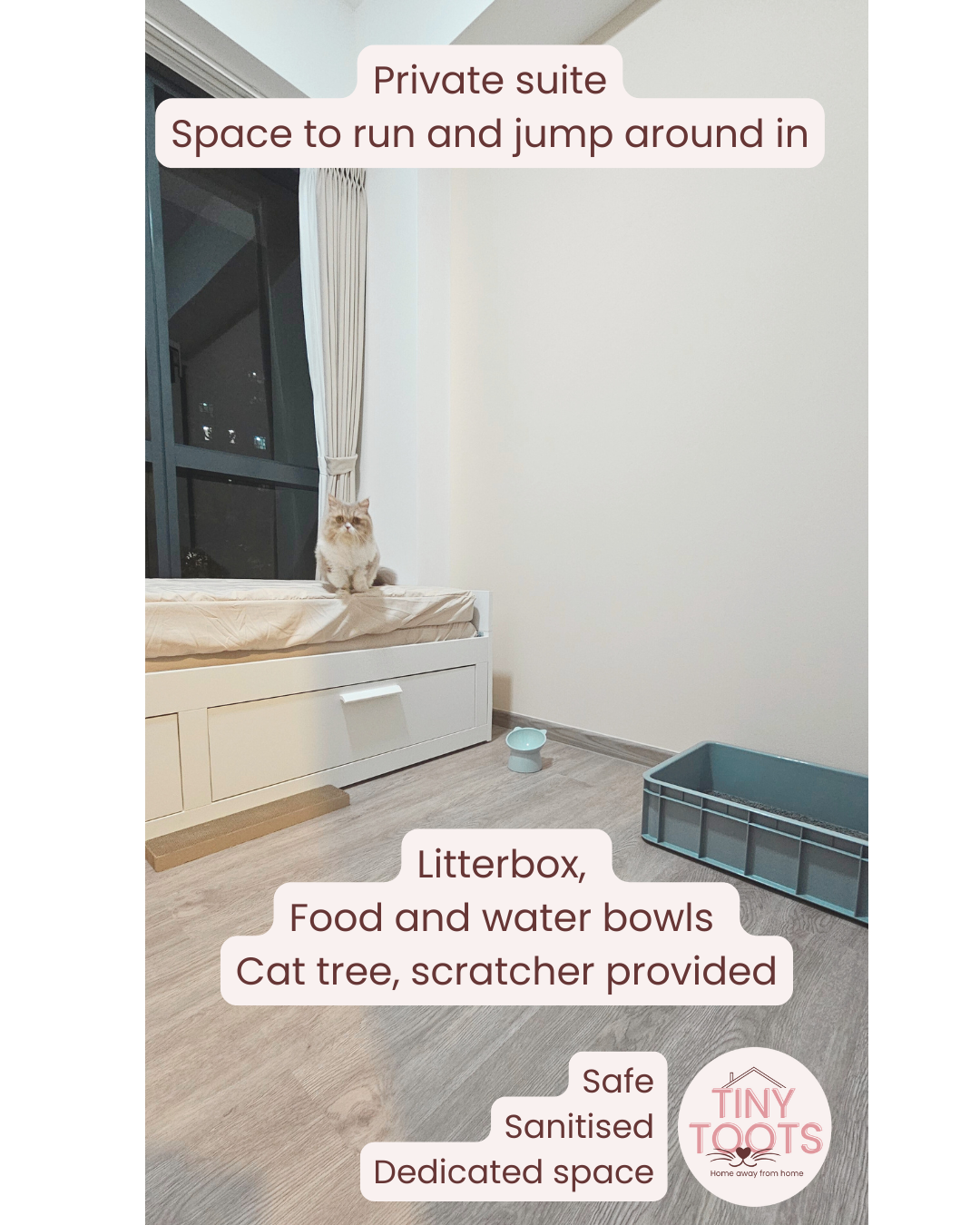 Cat Boarding Private Suite @ Greenwich