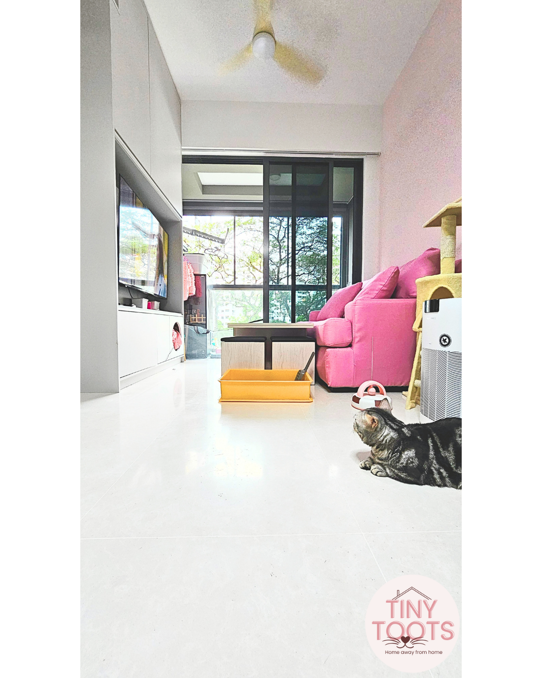 Cat boarding room