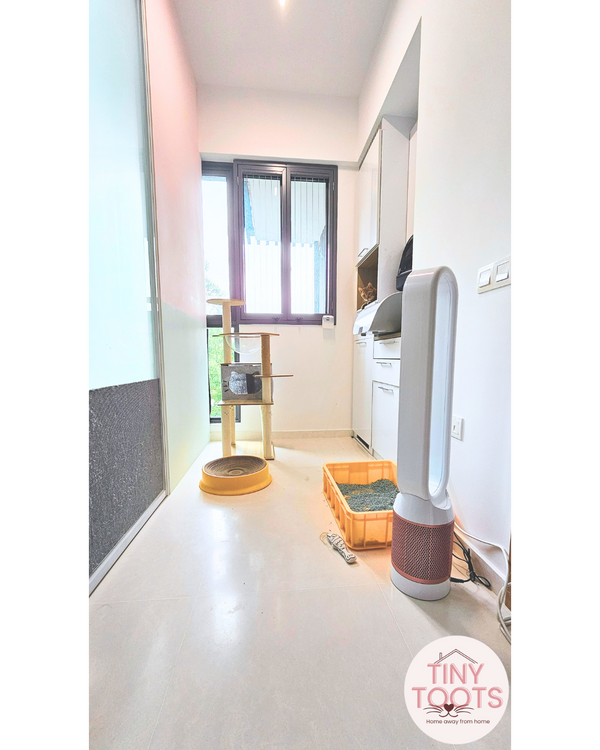 Cat Boarding Private Suite - Image 10