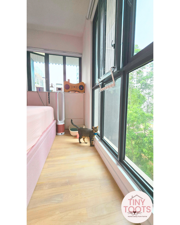 Cat Boarding Private Suite - Image 11