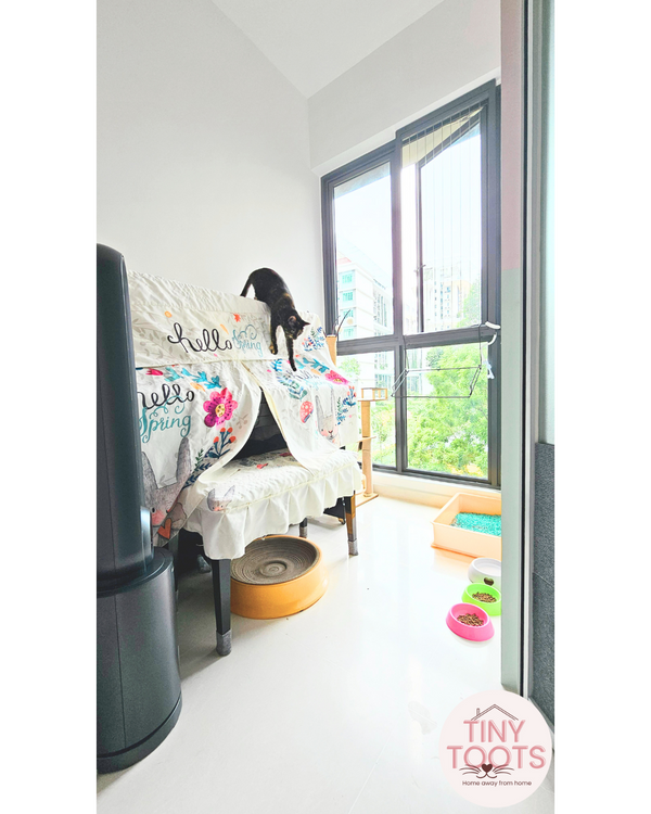 Cat Boarding Private Suite - Image 8